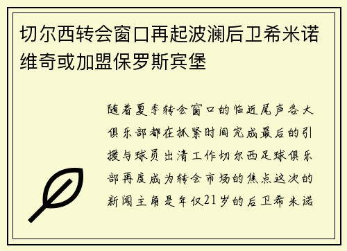切尔西转会窗口再起波澜后卫希米诺维奇或加盟保罗斯宾堡